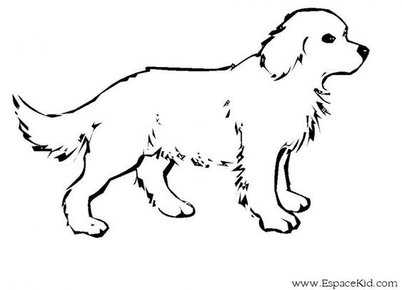 100 Top Idées & Tutos de Dessins de Chiens 30 100 Top Idées & Tutos de Dessins de Chiens 30