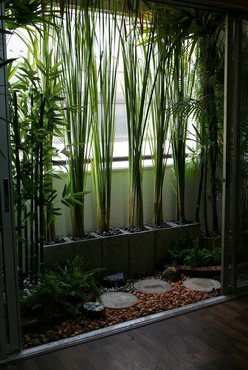 21 idées de jardins d'intérieur spectaculaires 3 21 idées de jardins d'intérieur spectaculaires 3
