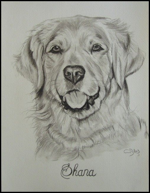 100 Top Idées & Tutos de Dessins de Chiens 33 100 Top Idées & Tutos de Dessins de Chiens 33