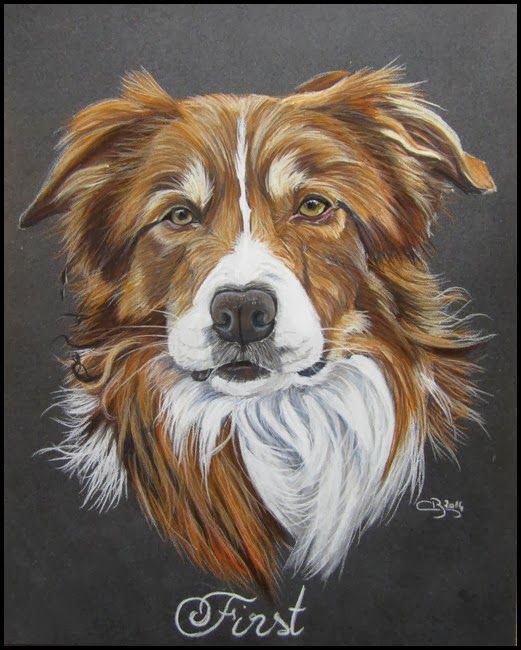 100 Top Idées & Tutos de Dessins de Chiens 34 100 Top Idées & Tutos de Dessins de Chiens 34