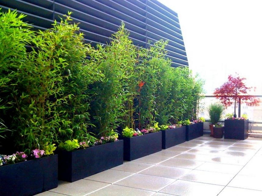 48 exemples de conceptions de jardinières réussies 35