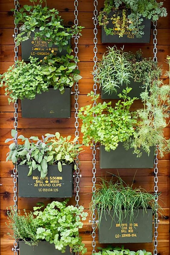 50 top idées de jardins verticaux pour s'inspirer 35 50 top idées de jardins verticaux pour s'inspirer 35