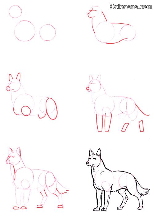 100 Top Idées & Tutos de Dessins de Chiens 36 100 Top Idées & Tutos de Dessins de Chiens 36
