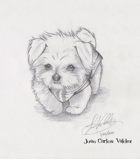 100 Top Idées & Tutos de Dessins de Chiens 38 100 Top Idées & Tutos de Dessins de Chiens 38