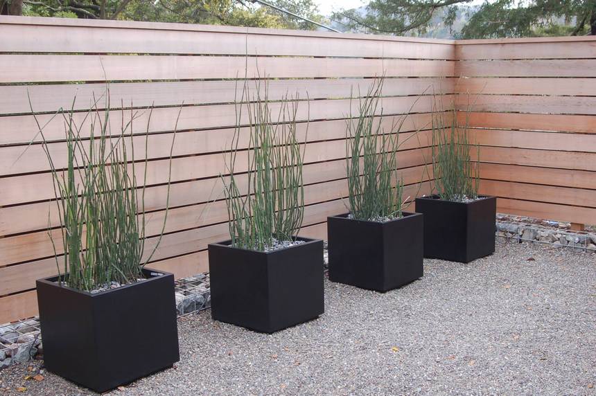 48 exemples de conceptions de jardinières réussies 39