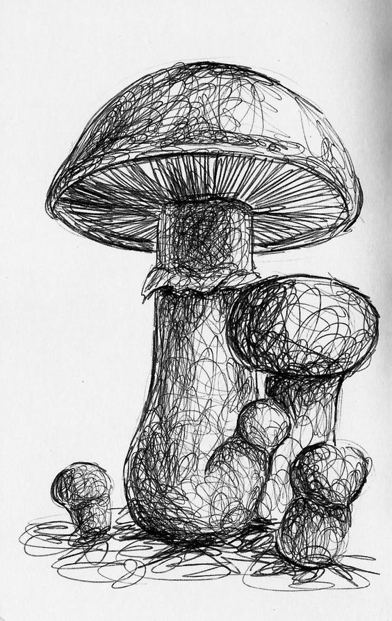 100 idées & tutos de dessins en noir et blanc 40 100 idées & tutos de dessins en noir et blanc 40