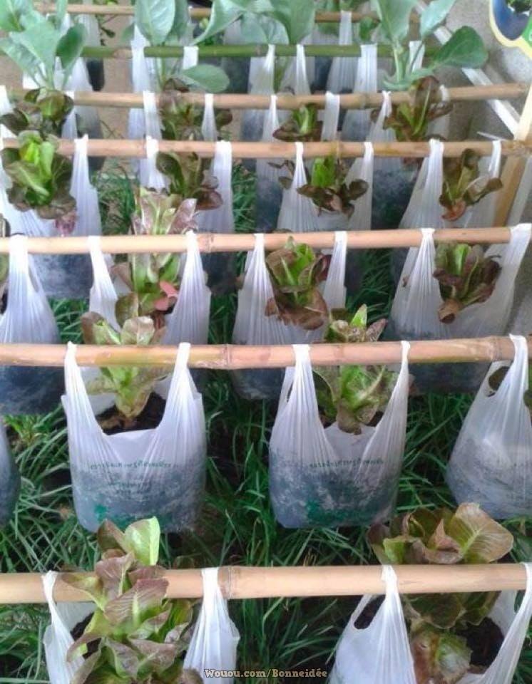 21 idées pour mettre un potager dans votre jardin 4 21 idées pour mettre un potager dans votre jardin 4