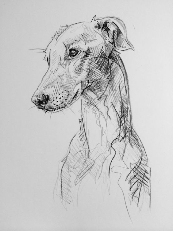 100 Top Idées & Tutos de Dessins de Chiens 41 100 Top Idées & Tutos de Dessins de Chiens 41