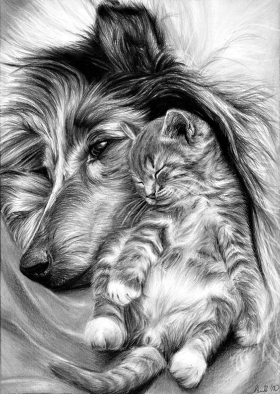 100 idées & tutos de dessins en noir et blanc 41 100 idées & tutos de dessins en noir et blanc 41
