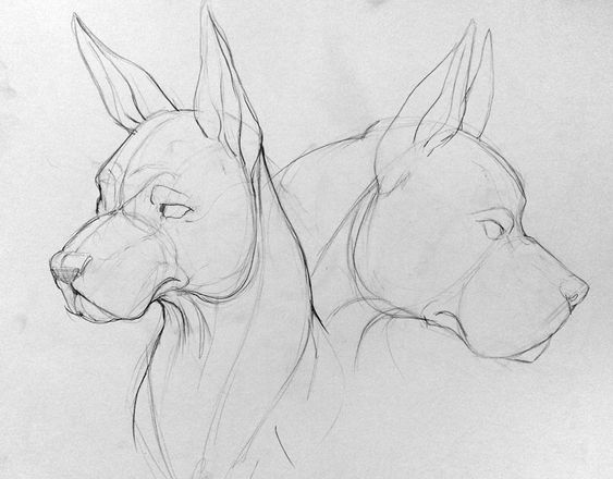 100 Top Idées & Tutos de Dessins de Chiens 42 100 Top Idées & Tutos de Dessins de Chiens 42