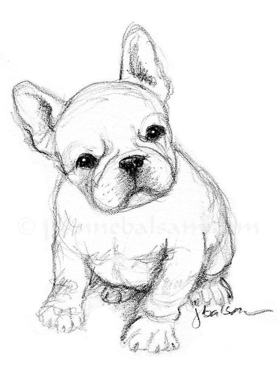 100 Top Idées & Tutos de Dessins de Chiens 44 100 Top Idées & Tutos de Dessins de Chiens 44