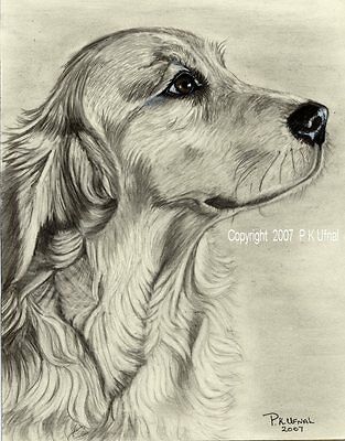 100 Top Idées & Tutos de Dessins de Chiens 46 100 Top Idées & Tutos de Dessins de Chiens 46