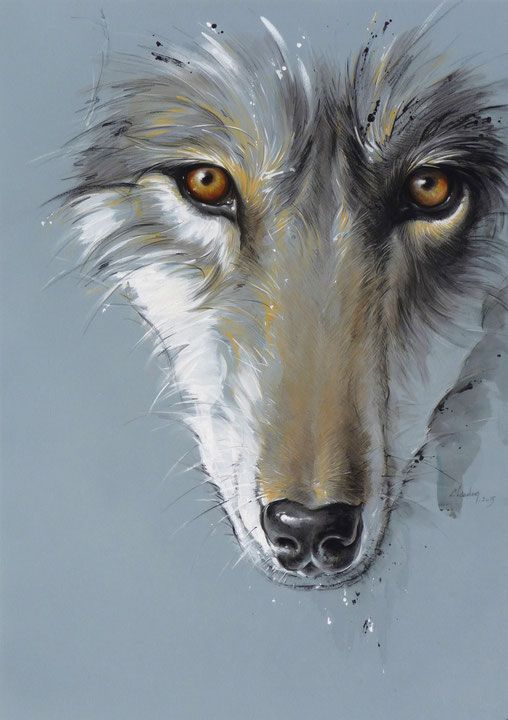 100 Top Idées & Tutos de Dessins de Chiens 49 100 Top Idées & Tutos de Dessins de Chiens 49