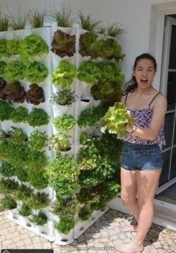 21 idées pour mettre un potager dans votre jardin 5 21 idées pour mettre un potager dans votre jardin 5