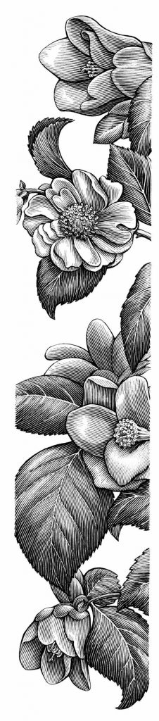 100 idées & tutos de dessins en noir et blanc 53 100 idées & tutos de dessins en noir et blanc 53