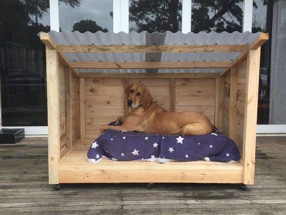 56 top idées de maisons pour chiens 2 56 top idées de maisons pour chiens 2