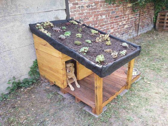 56 top idées de maisons pour chiens 11 56 top idées de maisons pour chiens 11