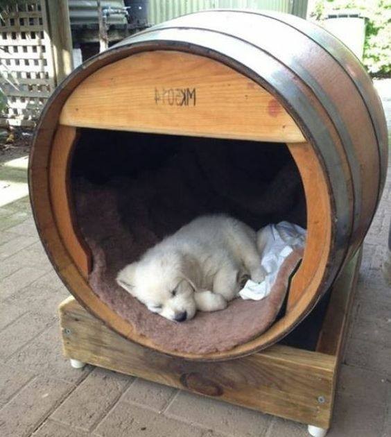 56 top idées de maisons pour chiens 4 56 top idées de maisons pour chiens 4