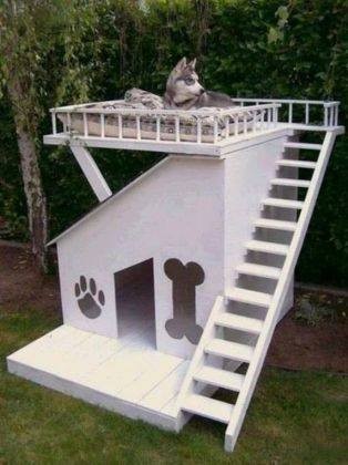 56 top idées de maisons pour chiens 31 56 top idées de maisons pour chiens 31