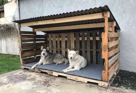 56 top idées de maisons pour chiens 35 56 top idées de maisons pour chiens 35