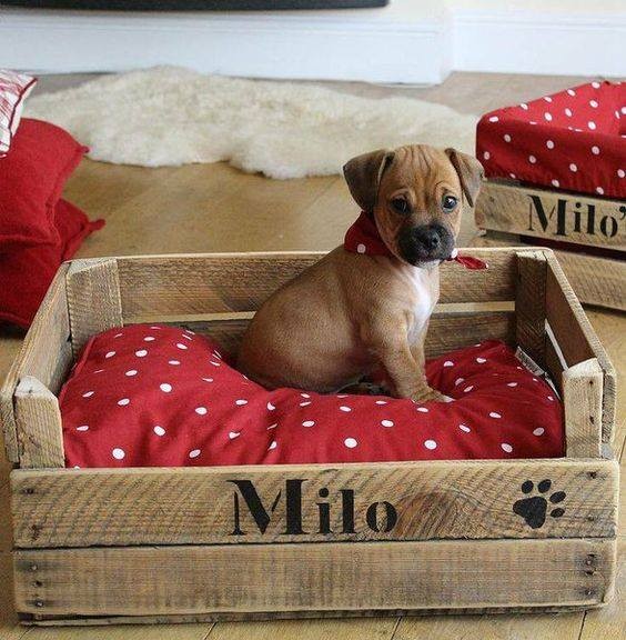56 top idées de maisons pour chiens 40 56 top idées de maisons pour chiens 40