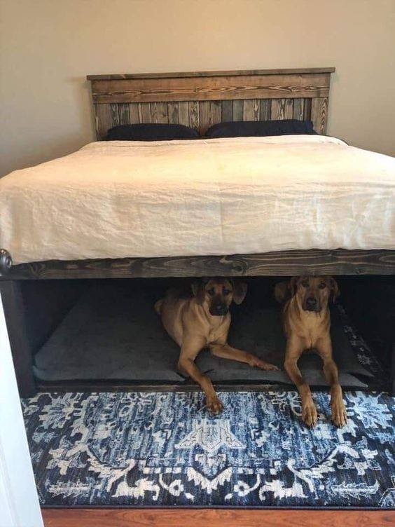 56 top idées de maisons pour chiens 5 56 top idées de maisons pour chiens 5