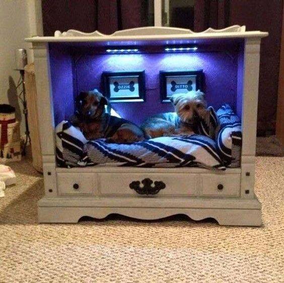 56 top idées de maisons pour chiens 50 56 top idées de maisons pour chiens 50