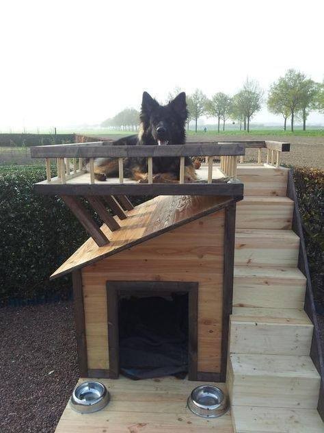 56 top idées de maisons pour chiens 6 56 top idées de maisons pour chiens 6