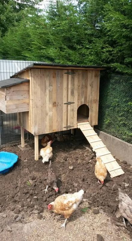 56 top idées de maisons pour chiens 55 56 top idées de maisons pour chiens 55