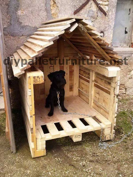 56 top idées de maisons pour chiens 8 56 top idées de maisons pour chiens 8