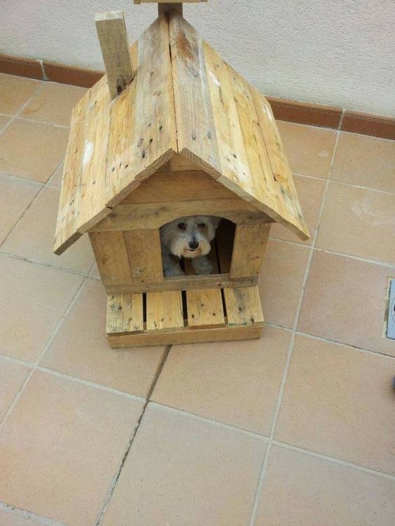 56 top idées de maisons pour chiens 10 56 top idées de maisons pour chiens 10
