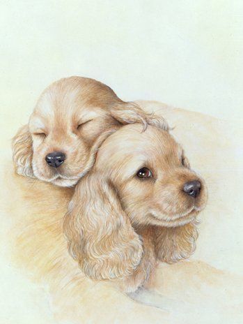 100 Top Idées & Tutos de Dessins de Chiens 57 100 Top Idées & Tutos de Dessins de Chiens 57