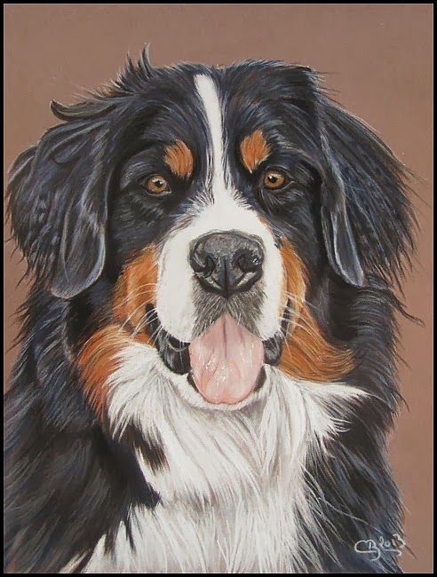 100 Top Idées & Tutos de Dessins de Chiens 58 100 Top Idées & Tutos de Dessins de Chiens 58