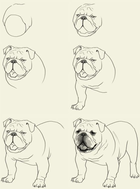 100 Top Idées & Tutos de Dessins de Chiens 60 100 Top Idées & Tutos de Dessins de Chiens 60