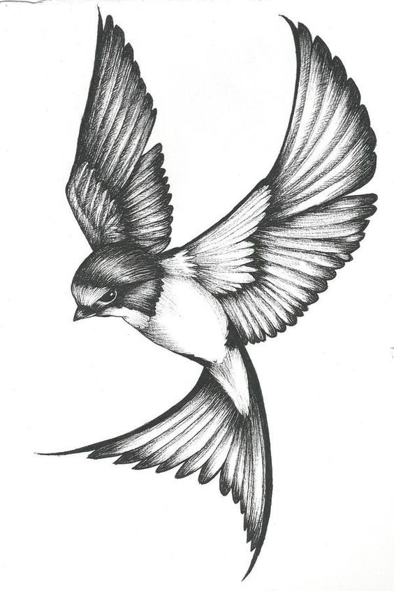 100 idées & tutos de dessins en noir et blanc 66 100 idées & tutos de dessins en noir et blanc 66