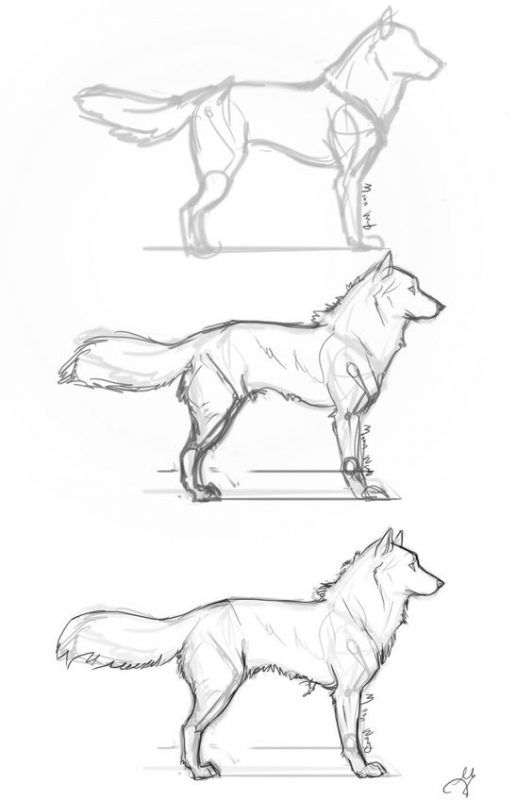 100 Top Idées & Tutos de Dessins de Chiens 67 100 Top Idées & Tutos de Dessins de Chiens 67