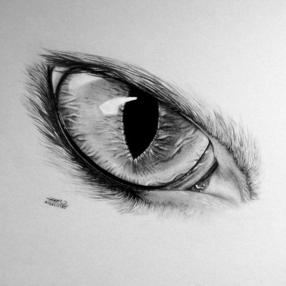 100 idées & tutos de dessins en noir et blanc 70 100 idées & tutos de dessins en noir et blanc 70