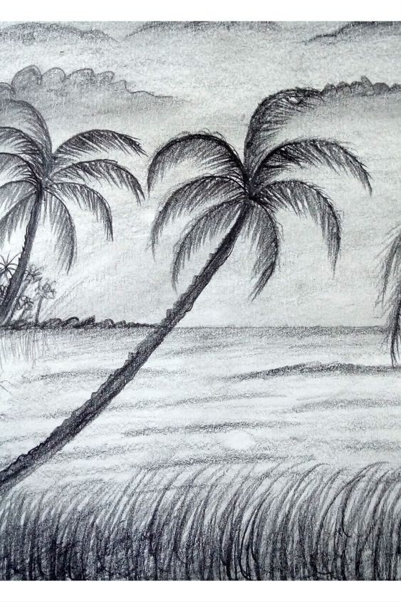 100 idées & tutos de dessins en noir et blanc 71 100 idées & tutos de dessins en noir et blanc 71