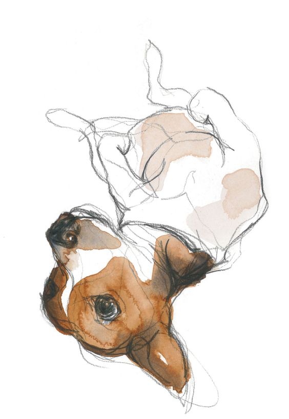 100 Top Idées & Tutos de Dessins de Chiens 73 100 Top Idées & Tutos de Dessins de Chiens 73