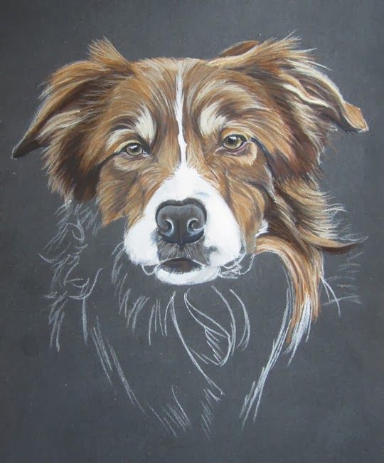 100 Top Idées & Tutos de Dessins de Chiens 74 100 Top Idées & Tutos de Dessins de Chiens 74