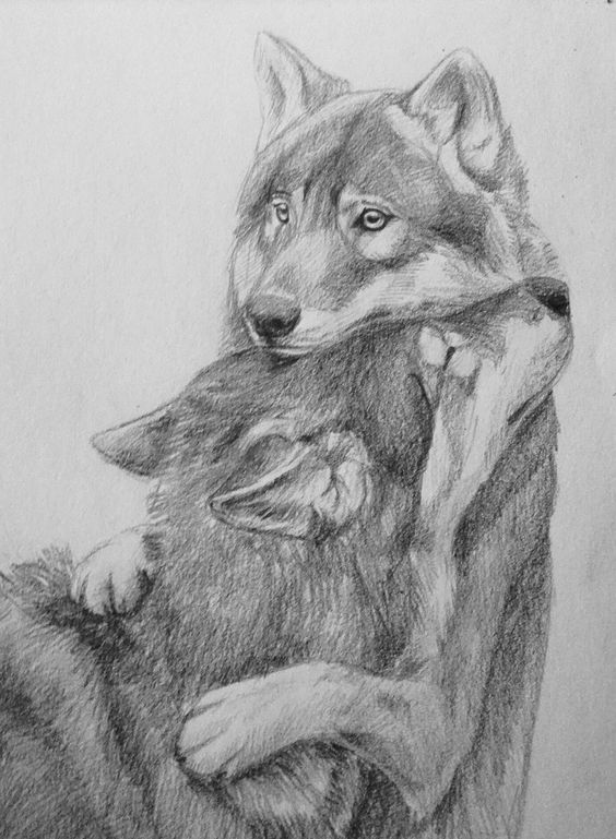 100 Top Idées & Tutos de Dessins de Chiens 76 100 Top Idées & Tutos de Dessins de Chiens 76