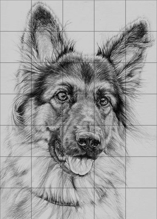 100 Top Idées & Tutos de Dessins de Chiens 78 100 Top Idées & Tutos de Dessins de Chiens 78