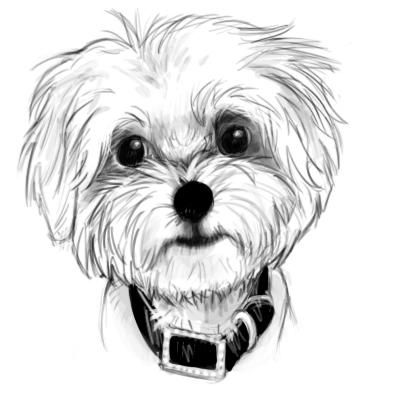 100 Top Idées & Tutos de Dessins de Chiens 80 100 Top Idées & Tutos de Dessins de Chiens 80