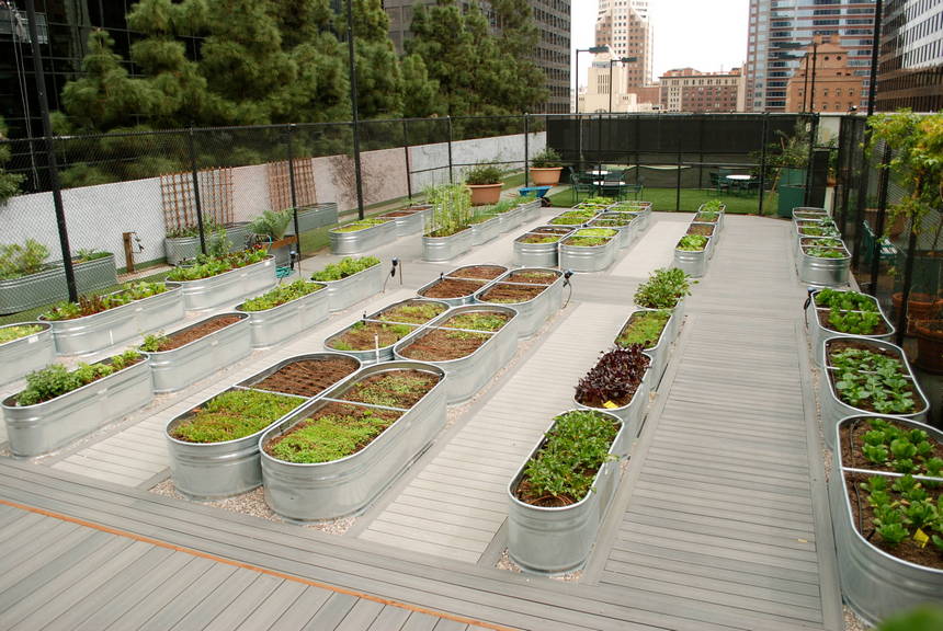 48 exemples de conceptions de jardinières réussies 8