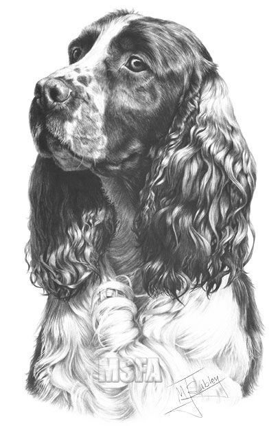 100 Top Idées & Tutos de Dessins de Chiens 82 100 Top Idées & Tutos de Dessins de Chiens 82