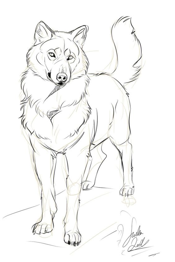 100 Top Idées & Tutos de Dessins de Chiens 84 100 Top Idées & Tutos de Dessins de Chiens 84