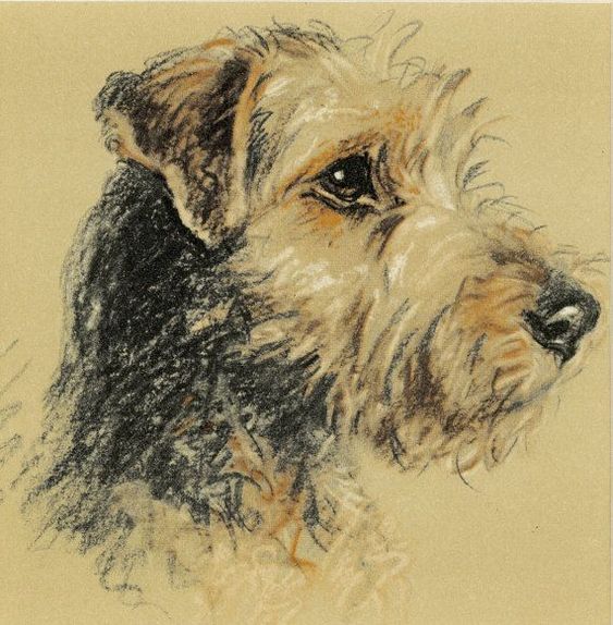 100 Top Idées & Tutos de Dessins de Chiens 85 100 Top Idées & Tutos de Dessins de Chiens 85