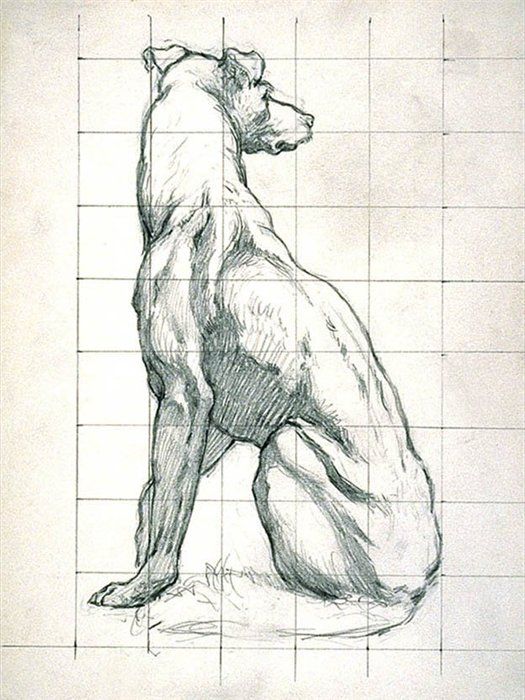 100 Top Idées & Tutos de Dessins de Chiens 86 100 Top Idées & Tutos de Dessins de Chiens 86