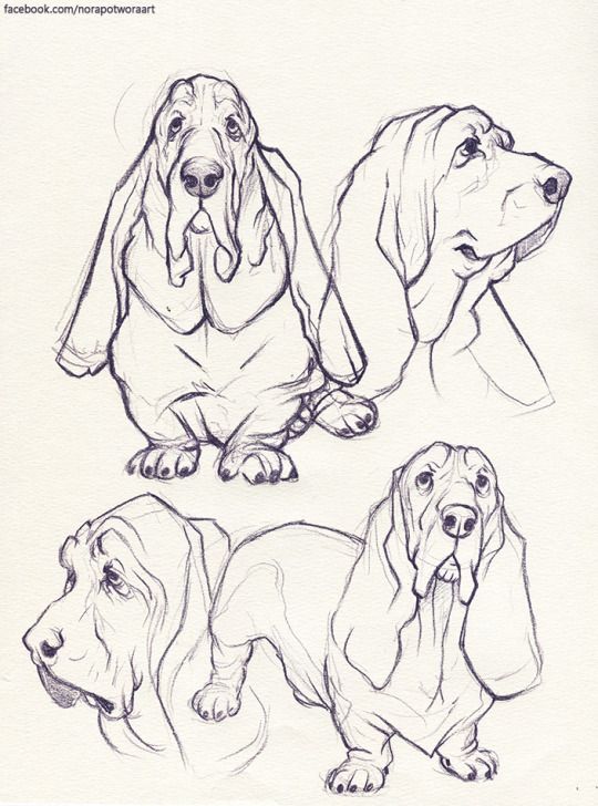 100 Top Idées & Tutos de Dessins de Chiens 88 100 Top Idées & Tutos de Dessins de Chiens 88