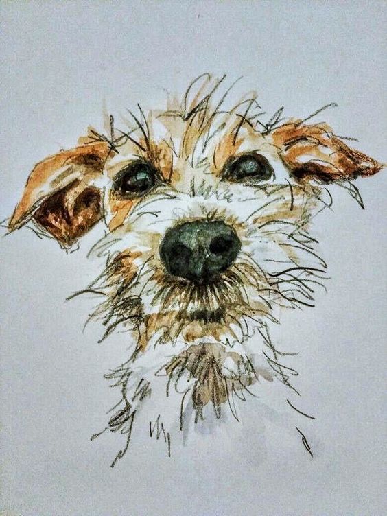 100 Top Idées & Tutos de Dessins de Chiens 90 100 Top Idées & Tutos de Dessins de Chiens 90